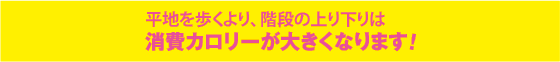 階段を歩くことは、平地を歩くより消費カロリーが大きくなります！