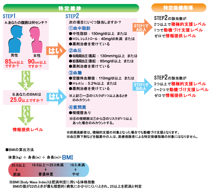 特定健診・特定保健指導の流れ